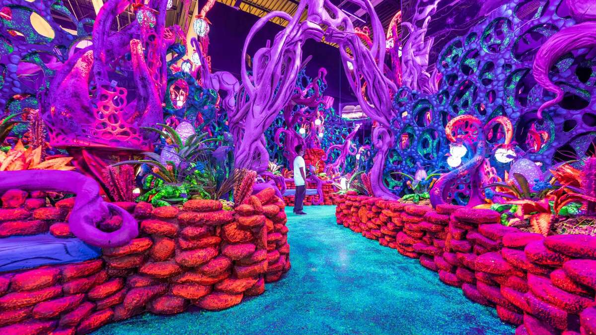 Seismique interactive art museum announces opening date - Seismique