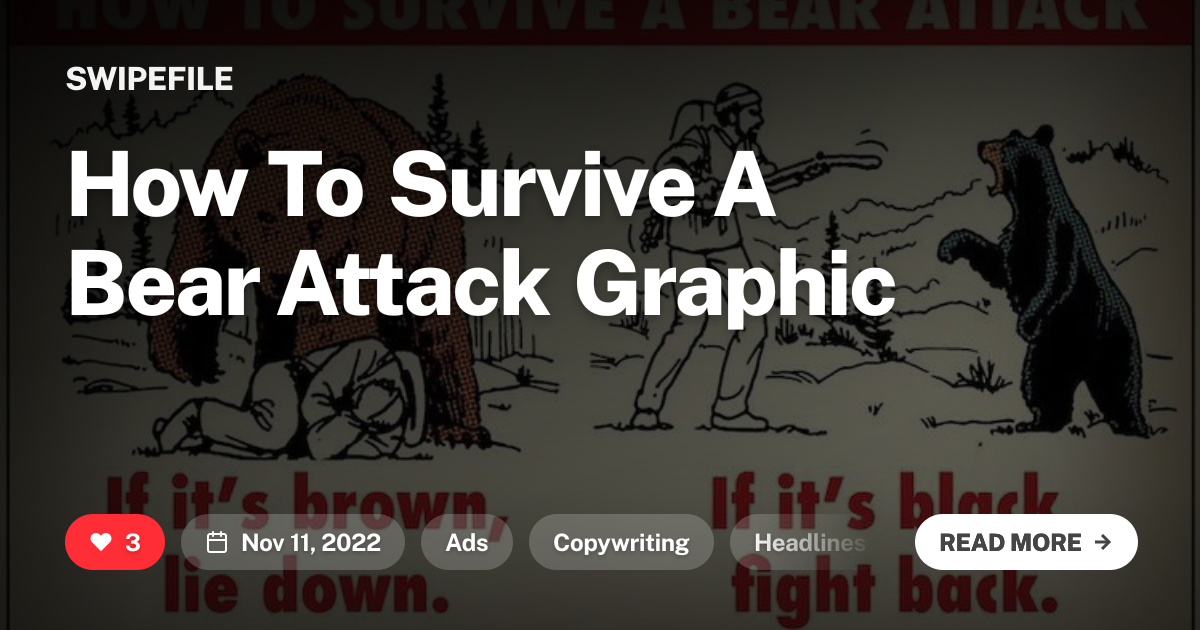 how-to-survive-a-bear-attack-graphic-swipefile