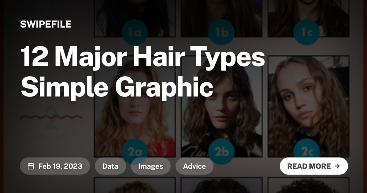 12 Major Hair Types Simple Graphic