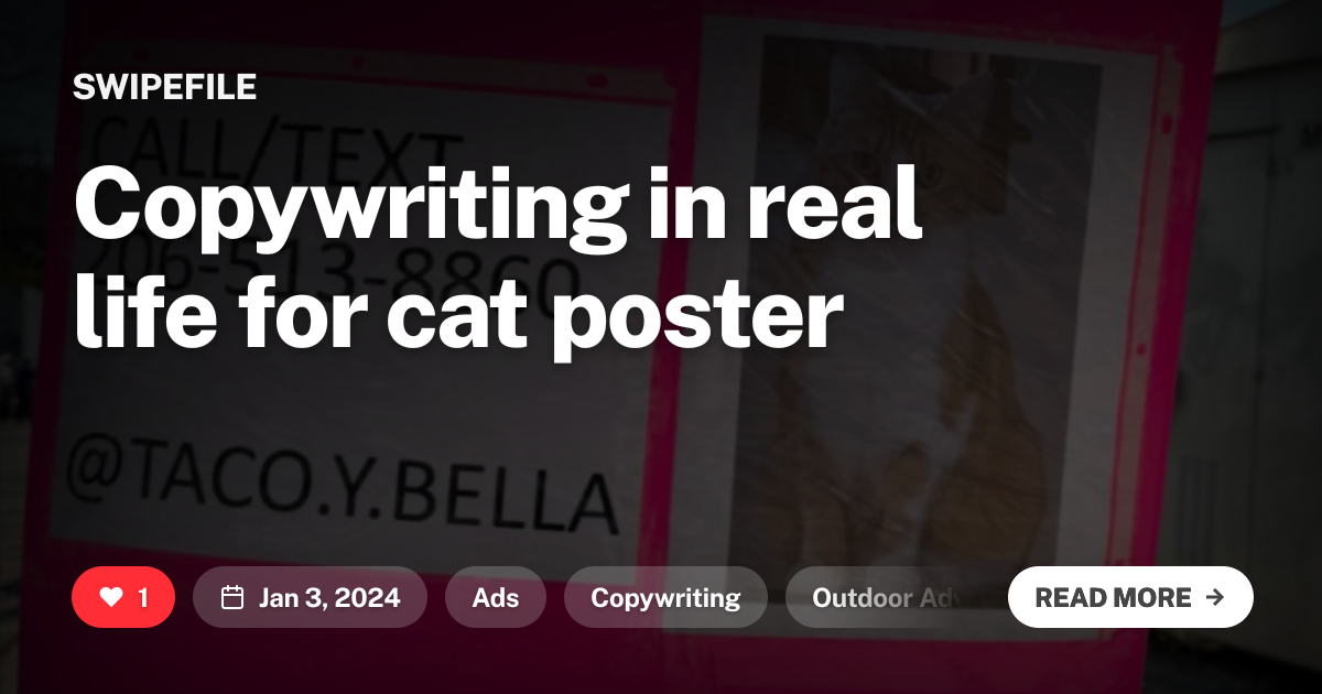 Copywriting in real life for cat poster