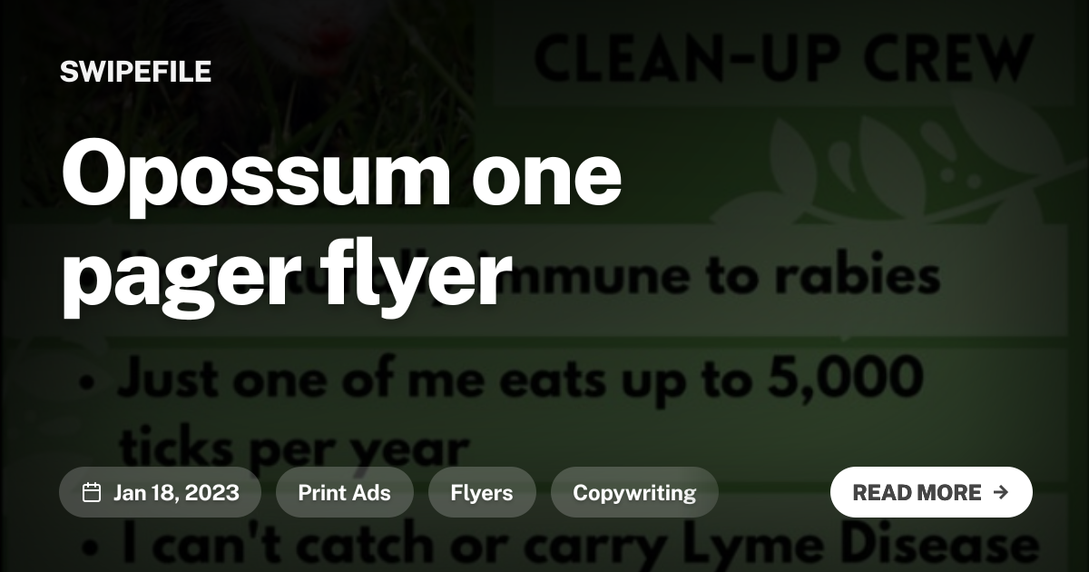 Opossum one pager flyer