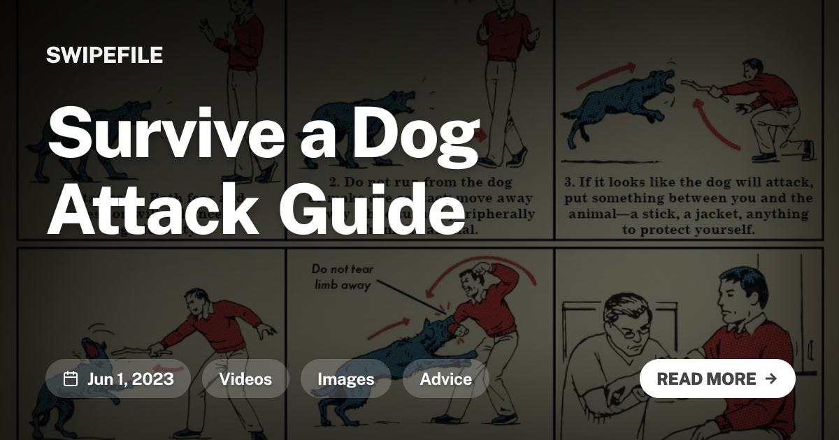 Survive a Dog Attack Guide