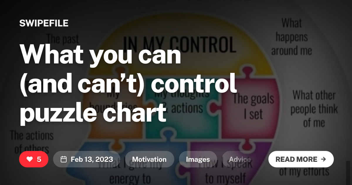 What you can (and can’t) control puzzle chart