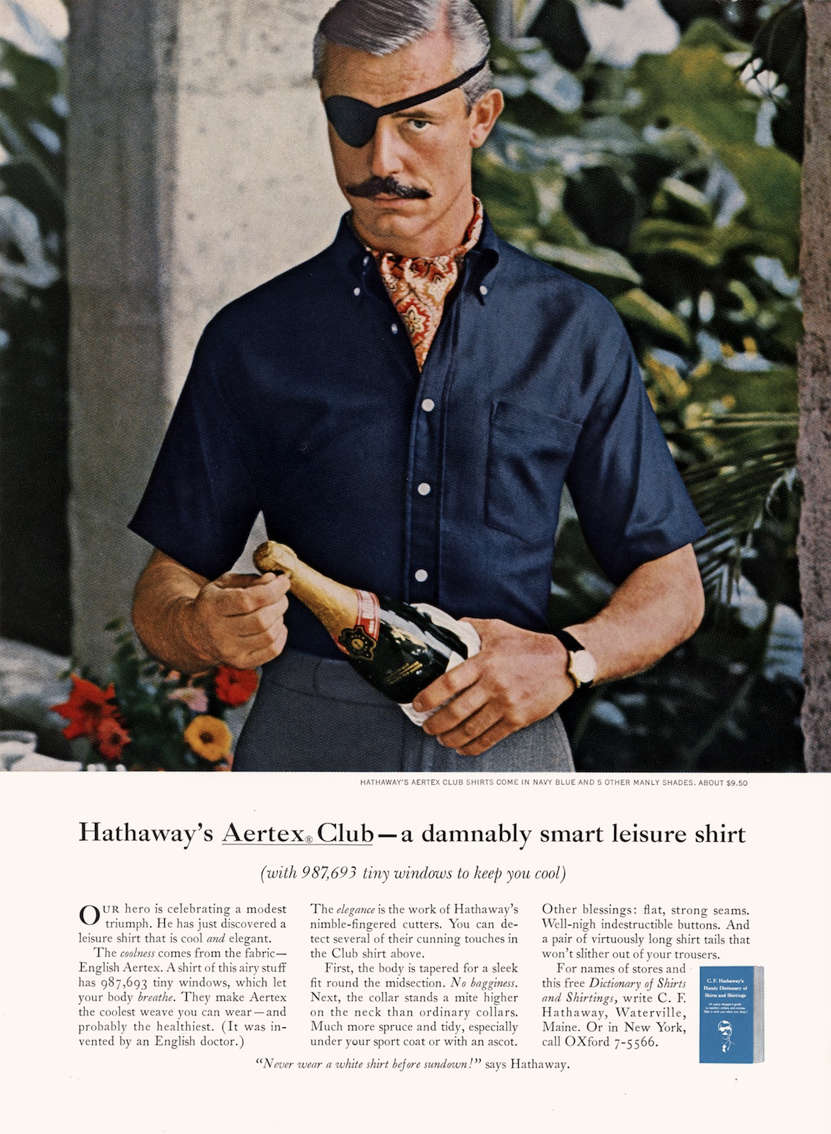 hathaway-shirt-ad-champagne