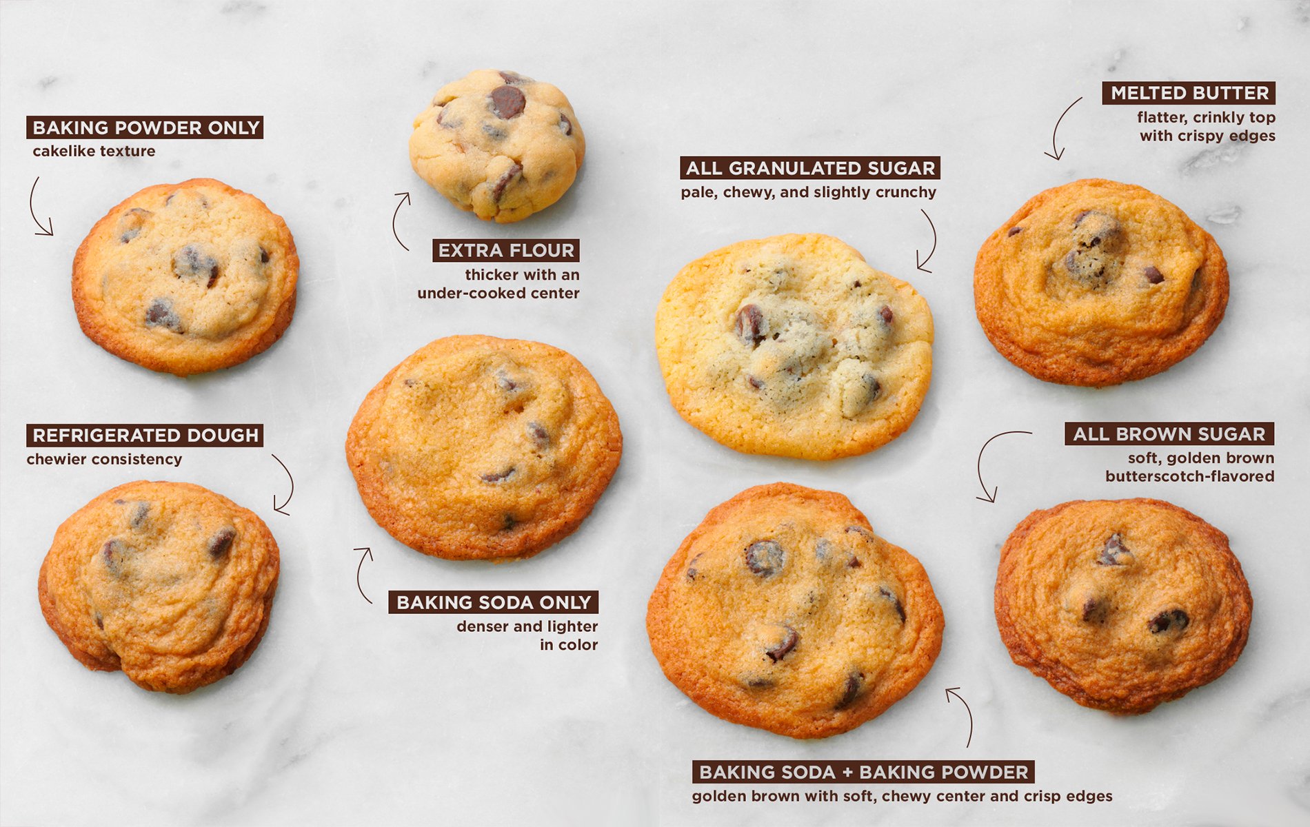 chocolate chip cookie guide