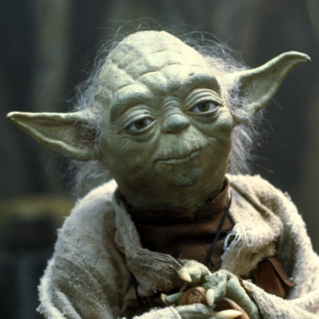 yoda picture