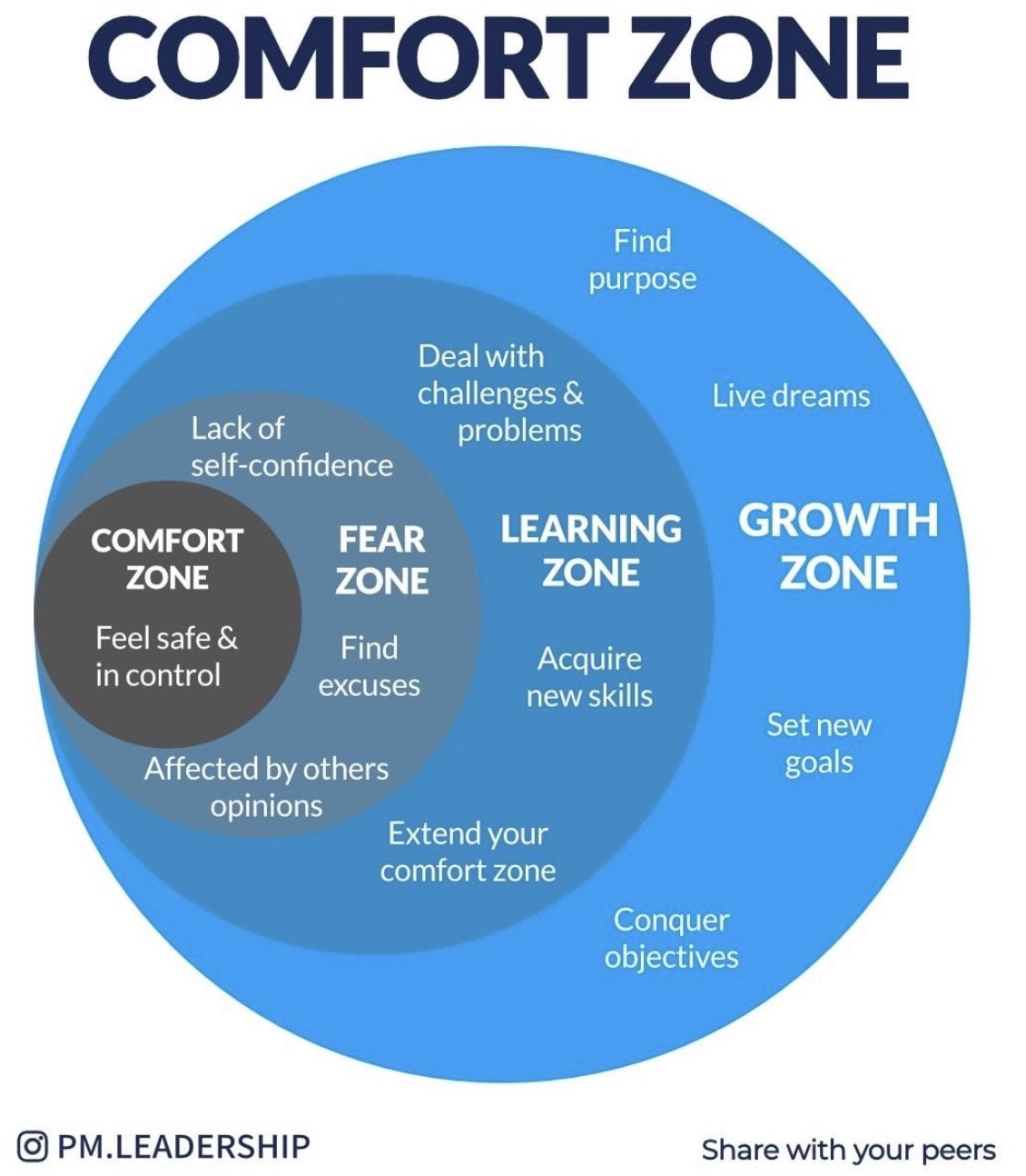 Comfort Zone Circles - Swipe File