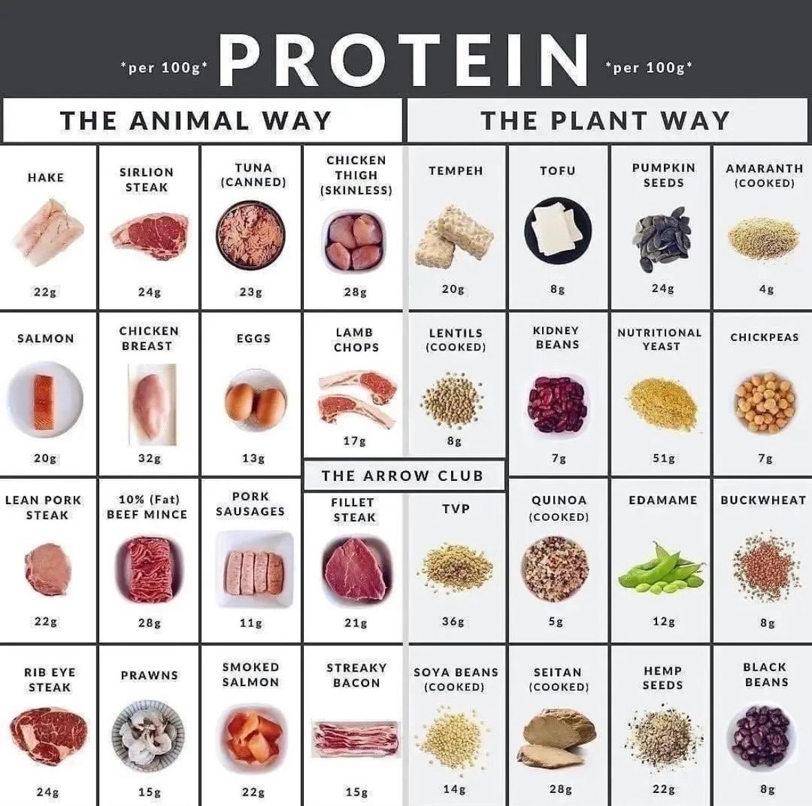 Protein chart: Animal VS Plant - Swipe File